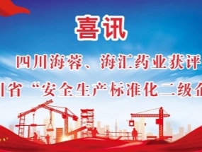 海蓉、海匯藥業(yè)獲評“安全生產(chǎn)標(biāo)準(zhǔn)化二級企業(yè)”